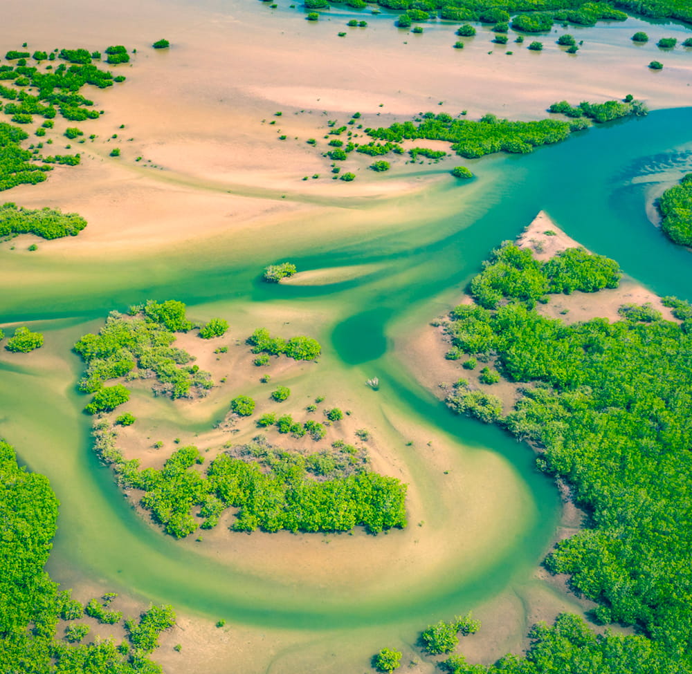 Sine Saloum